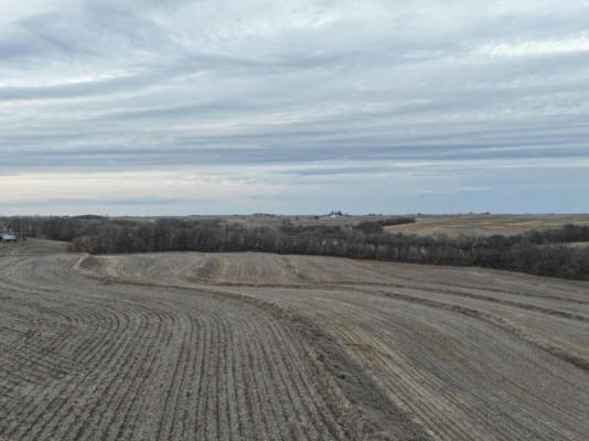 151.99 AC 290TH AVE & 150TH ST, SIDNEY, IA 51652, photo 3 of 12